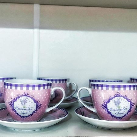 Apartman Lavanda Banja Koviljaca Bagian luar foto