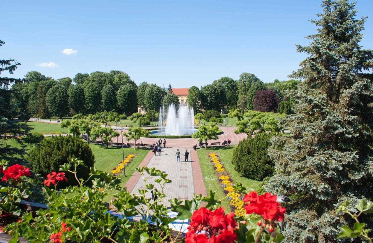 Apartman Lavanda Banja Koviljaca Bagian luar foto