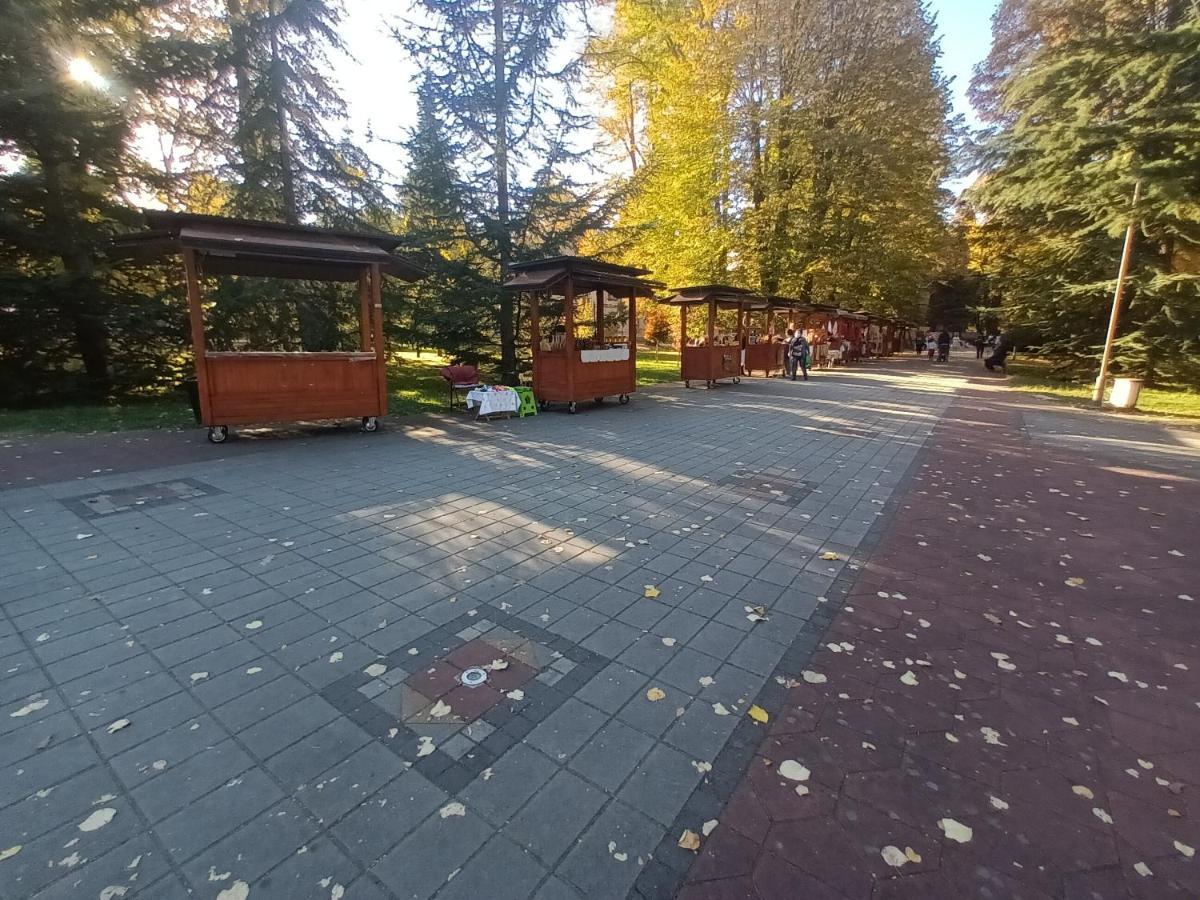 Apartman Lavanda Banja Koviljaca Bagian luar foto