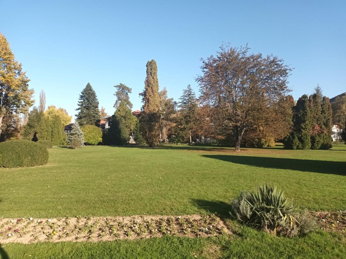 Apartman Lavanda Banja Koviljaca Bagian luar foto