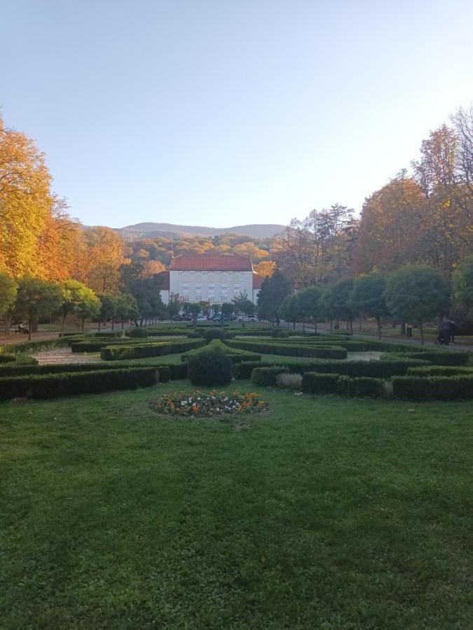 Apartman Lavanda Banja Koviljaca Bagian luar foto