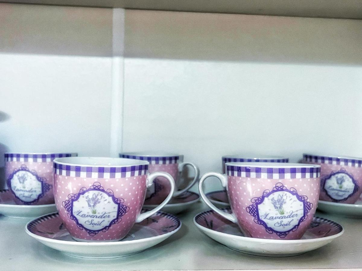 Apartman Lavanda Banja Koviljaca Bagian luar foto
