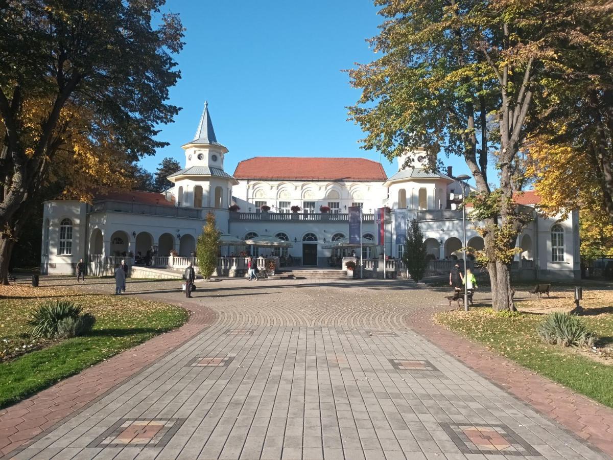 Apartman Lavanda Banja Koviljaca Bagian luar foto