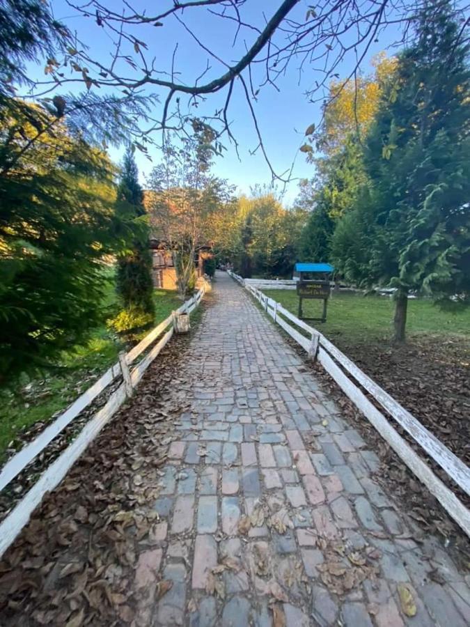 Apartman Lavanda Banja Koviljaca Bagian luar foto