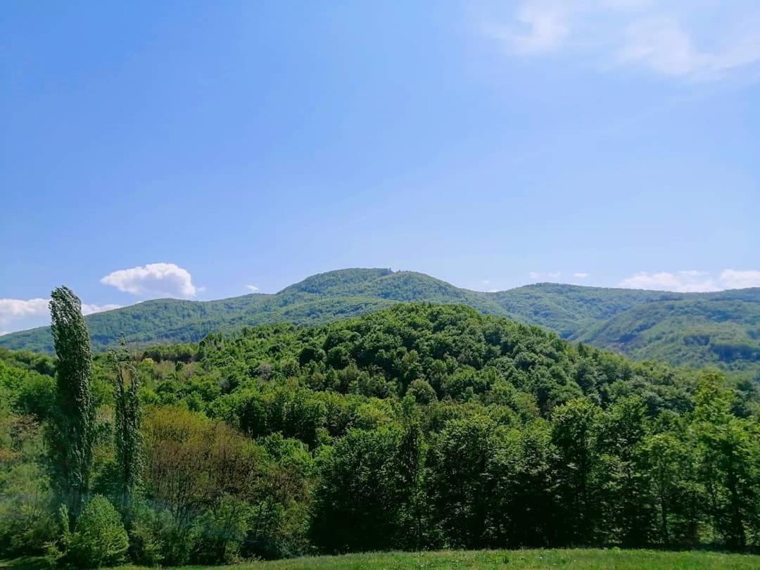 Apartman Lavanda Banja Koviljaca Bagian luar foto