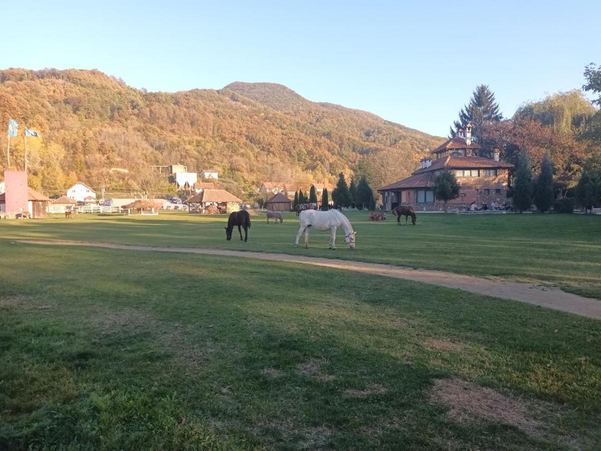 Apartman Lavanda Banja Koviljaca Bagian luar foto