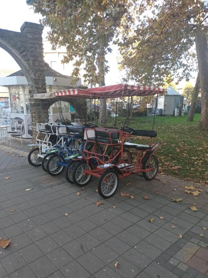 Apartman Lavanda Banja Koviljaca Bagian luar foto