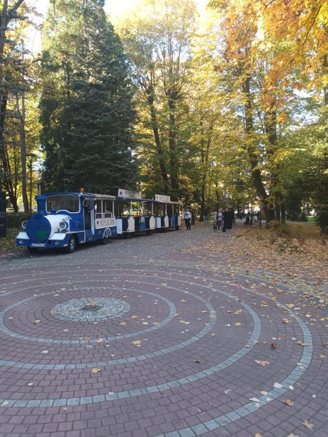 Apartman Lavanda Banja Koviljaca Bagian luar foto