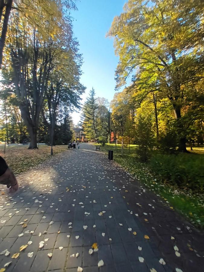 Apartman Lavanda Banja Koviljaca Bagian luar foto