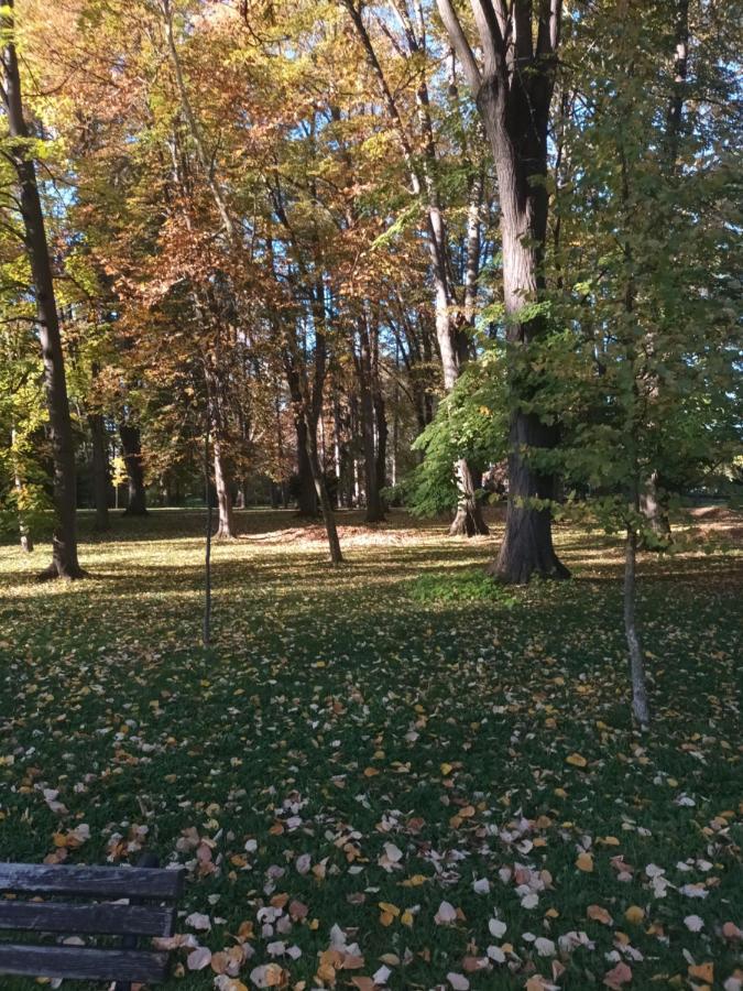 Apartman Lavanda Banja Koviljaca Bagian luar foto