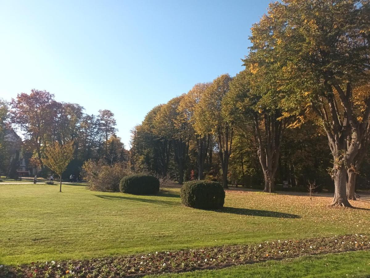 Apartman Lavanda Banja Koviljaca Bagian luar foto